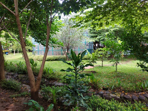 Xotinim katta kokraklar forumiga ega Xotinim katta kokraklar forumiga ega