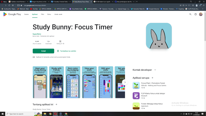 Study bunny