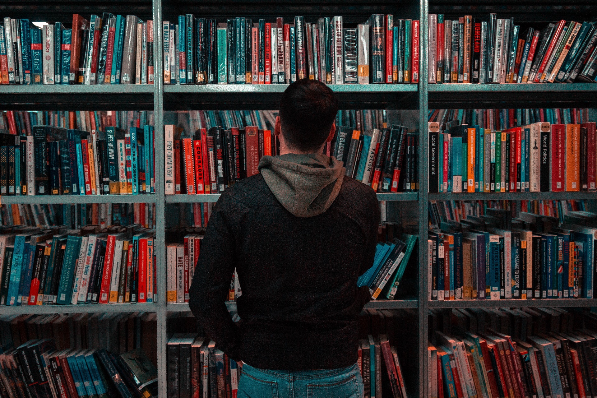 Matthew feeney nwkh n6l25w unsplash