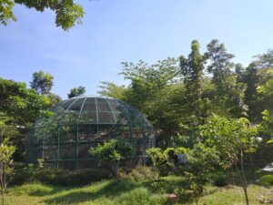 MINI ZOO (1)