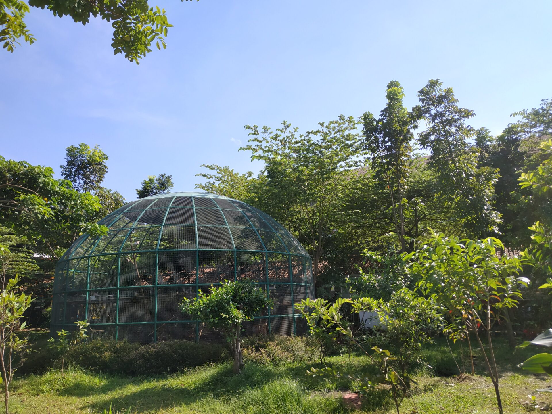 MINI ZOO (1)