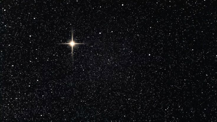 Stars✨