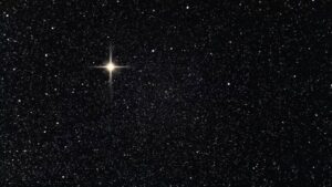 Stars✨
