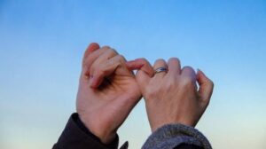 Images (19)