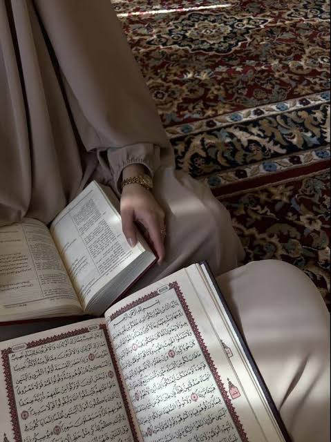 Images (19)
