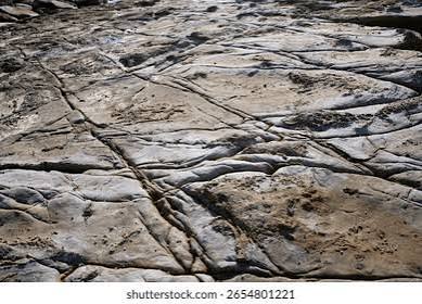 Images 2026 09 27T192201.901