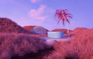 Images (26)