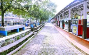 Images (6)