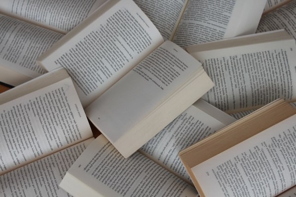 Literatur